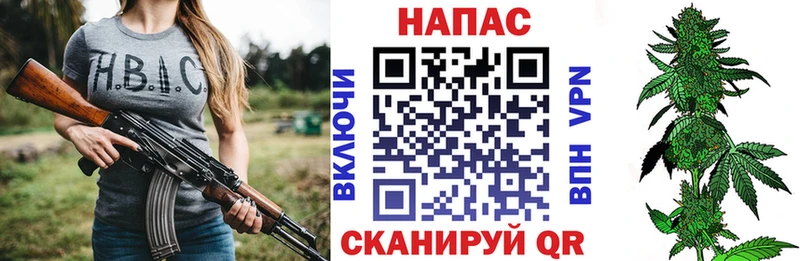 Бошки марихуана сатива  сколько стоит  Кедровый 
